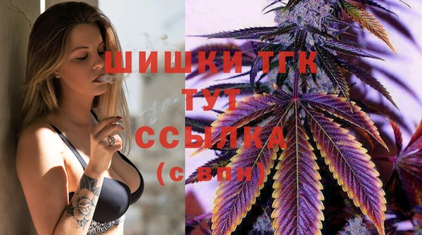 гашик Волосово