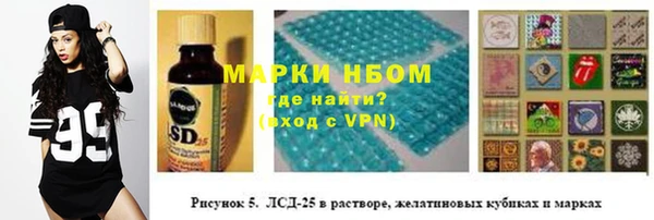 индика Володарск