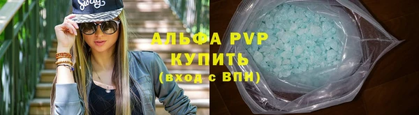 индика Володарск