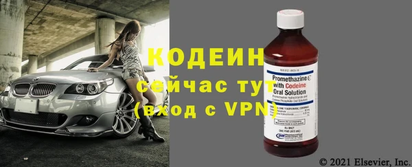 индика Володарск