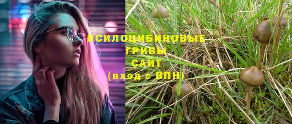 гашик Волосово
