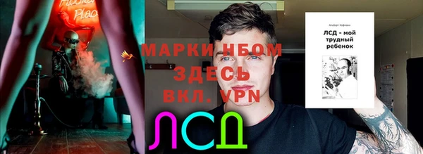 индика Володарск