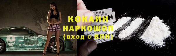 индика Володарск