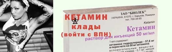 индика Володарск