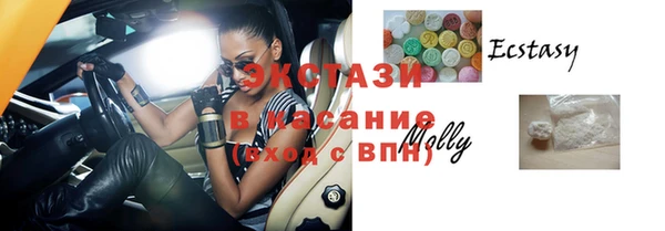 индика Володарск