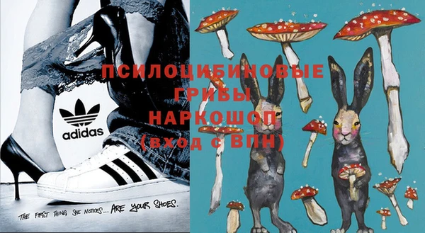 гашик Волосово