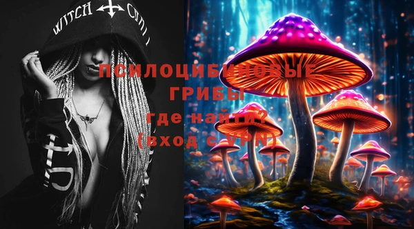 тгк Волоколамск