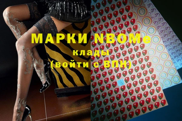 эйфоретик Вяземский