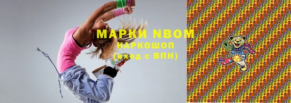 индика Володарск