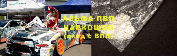 гашик Волосово