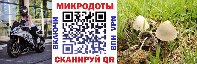 Псилоцибиновые грибы Magic Shrooms Балаково